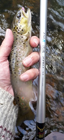 Angler holding small brown trout and Suntech FMX Keiryu ZPRO