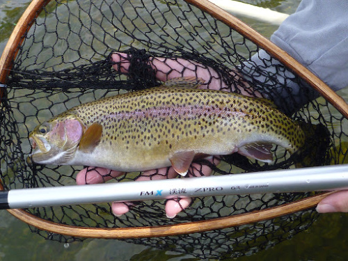 keiryu rods for sale