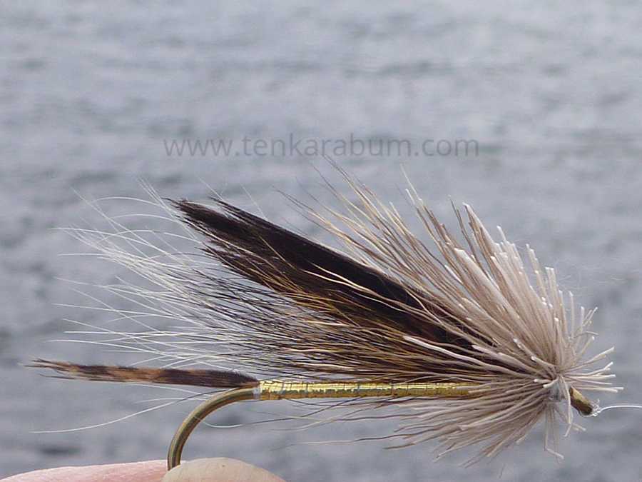 Don Gapen style Muddler Minnow (no closely clipped head)