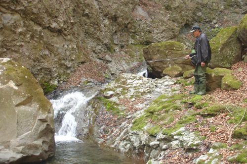 Slide: Photo of Japanese angler fishing small pool at the base of a small waterfall