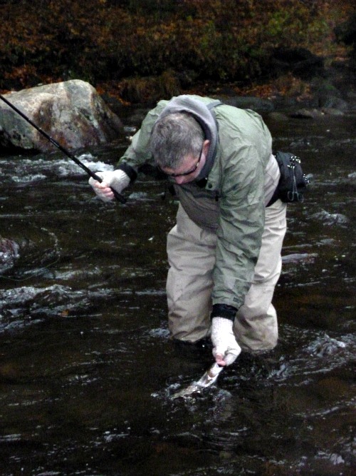 Angler bending over to unhook a trout