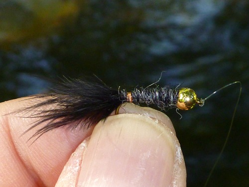 Angler holding bead head black Killer Bugger