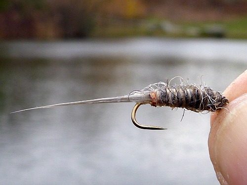 Killer Bugger tied with Granite yarn