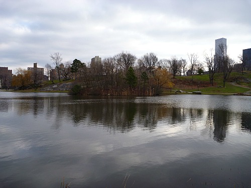 The Harlem Meer in New York's Central Park