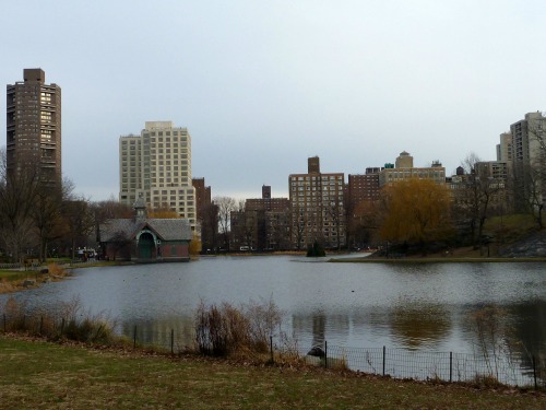 The Harlem Meer in Central Park.