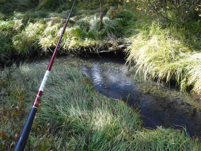 Riffle fishing