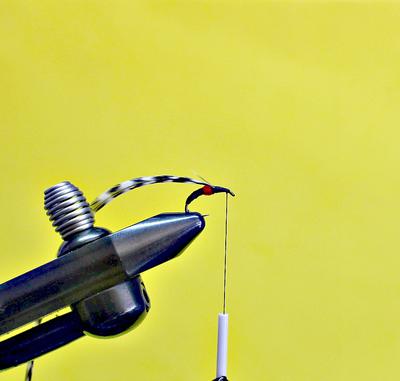 3 wraps of red floss form a collar at the mid-point. Hackle is tied in just in front of the floss.