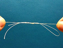 When finished, tie a loop of backing to the thick end of the line
