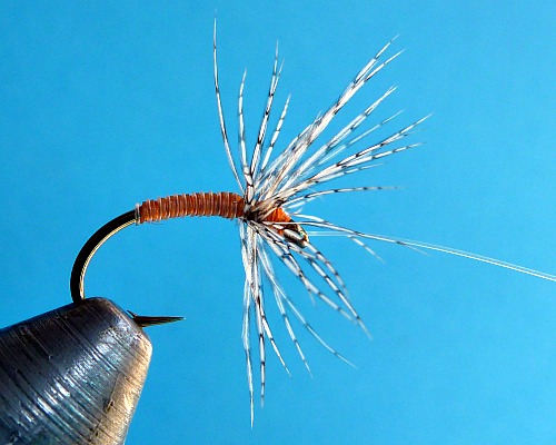 Fly in vise with horsehair wrapped over the body