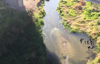 Indian Creek