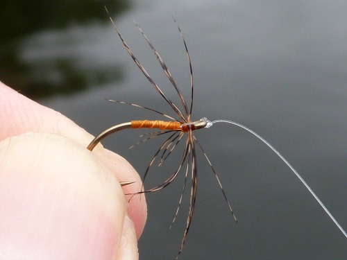 Angler holding a sparse Partridge and Orange wet fly.