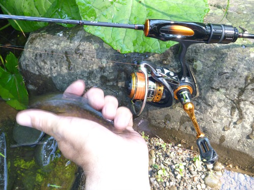Daiwa Iprimi 56XXUL-S rod in focus and a very blurry brookie.