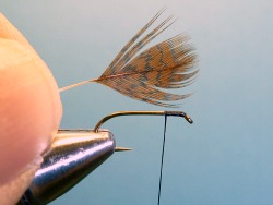 Prepared brown-dyed partridge feather.