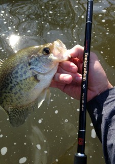 Angler holding crappie and TenkaraBum 36