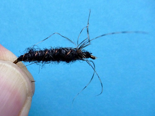 Keeper kebari after hackle almost completely chewed off.