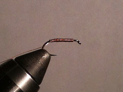 One layer of copper wire wrapped on hook shank, from eye to hook bend.