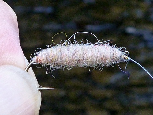 Killer Bug tied in a size 6 nymph hook