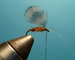 Tie in hen pheasant neck feather for hackle