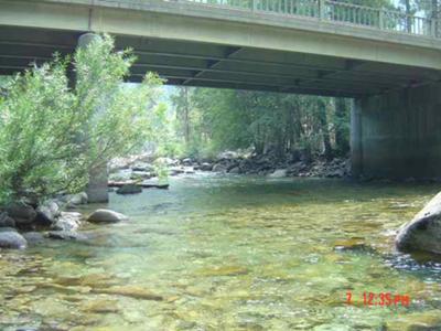 SF Kings River in Park