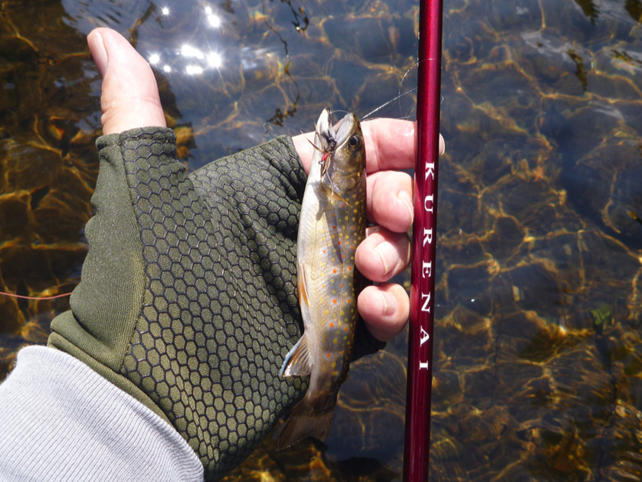 The Kurenai HM33R makes a great brookie rod.