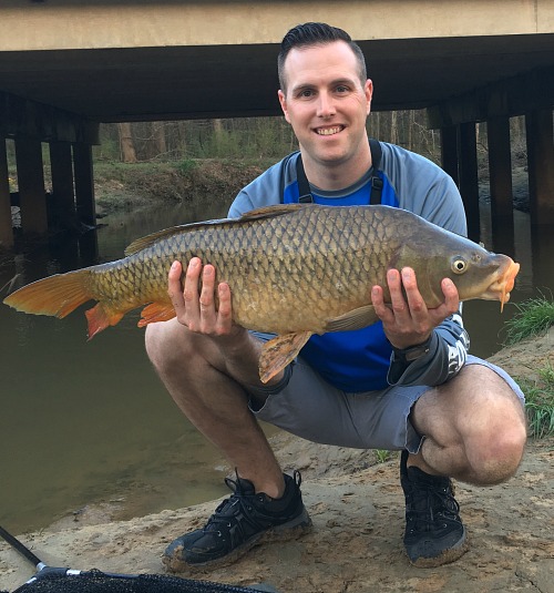 Angler holding large carp