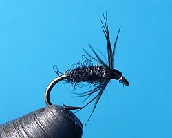 Little Dark Kebari fly in vise