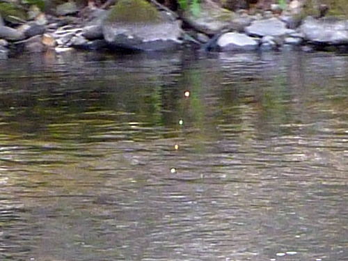 Keiryu yarn marker knots on nearly vertical line in a stream.