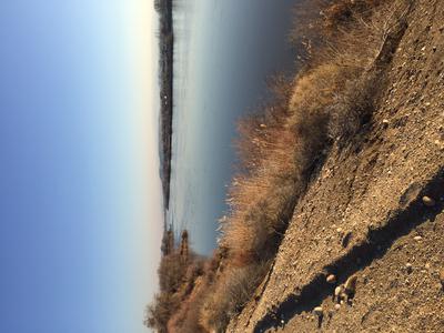 Snake River near Marsing