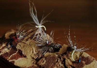 A few amago hooks with Fireline eyes. 