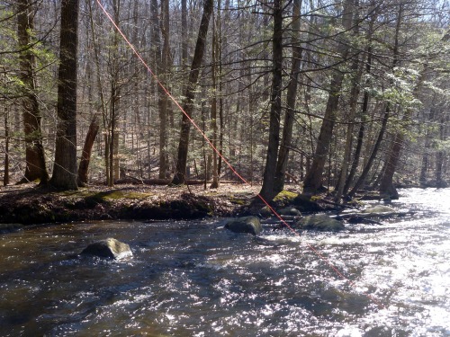 Backlit orange line visible against water and trees