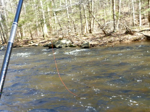 Orange line visible against river's surface