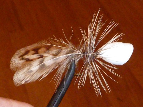 Unpainted bass popper with hen pheasant hackle and hen pheasant feathers for rear legs.