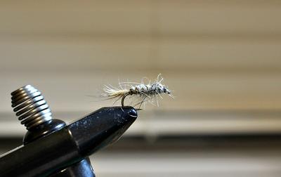 A Well-Chewed Gold-Ribbed Hare's Ear Nymph