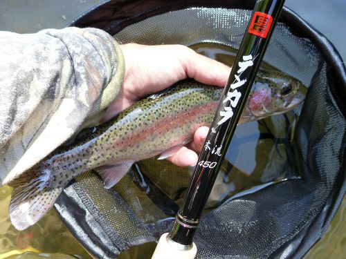 Angler holding Zerosum Oni Honryu 450 and trout above his net