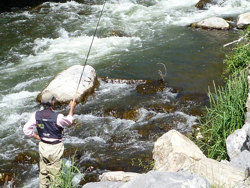 Tenkara no Oni fishing a bank eddy