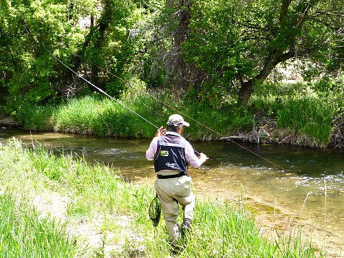 Tenkara no Oni applying side pressure to a fish