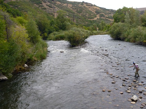 Tenkara no Oni fishing sequence: Fish the near side first