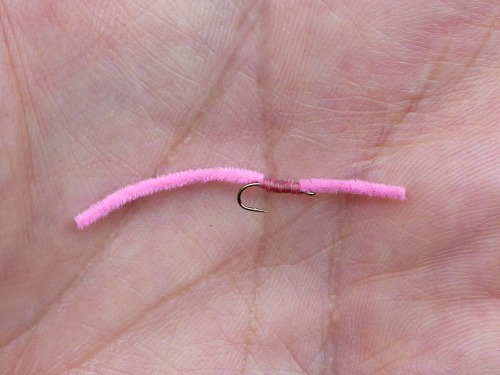 Angler holding pink chenille worm