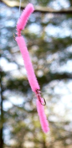 Pink Chenille Worm tied with two size 26 hooks