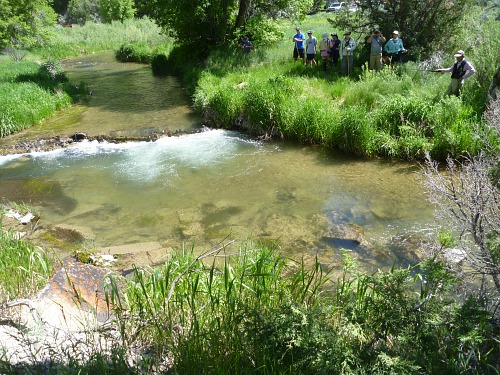 Oni fishing a pool as students watched