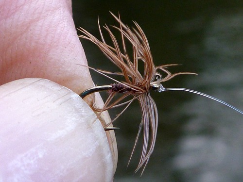 Stewart Red Spider (quail substituted for landrail)