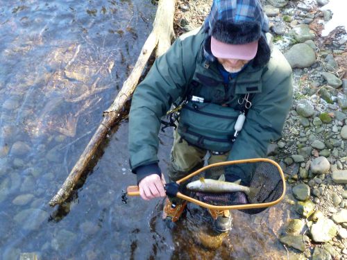 Slide: Photo of Ray Tucker showing his net with the fish I had caught walking along the road.