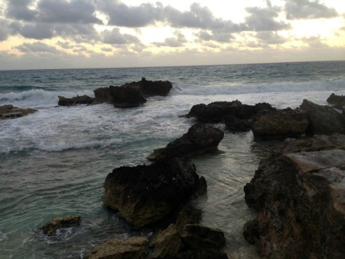 Rocky shore and surf