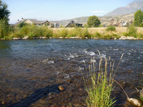 Pool where Oni demonstrated fishing downstream