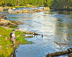 Angler fishing the Madison River