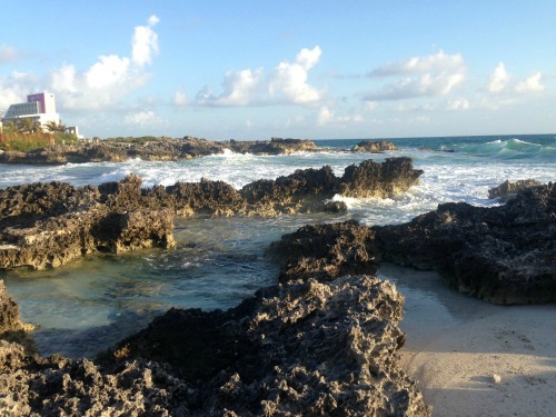 Plunge pool in rocky shoreline