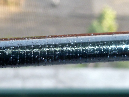 Bubbles in rod finish caused by putting it away wet.