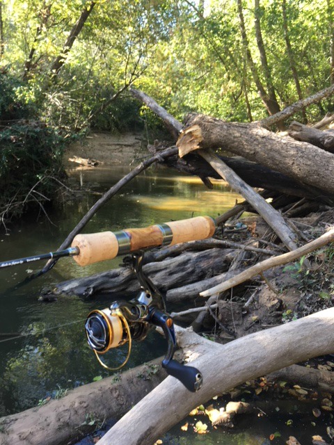 RZ39LL with wood-filled, overgrown stream