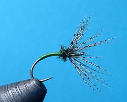 Variation with green thread body