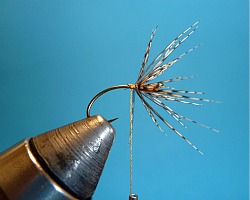 Hackle wrapped, ready for peacock herl